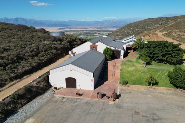DJI_0437