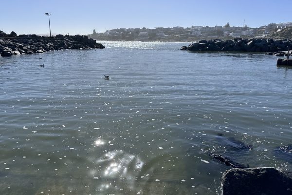 IMG_1007