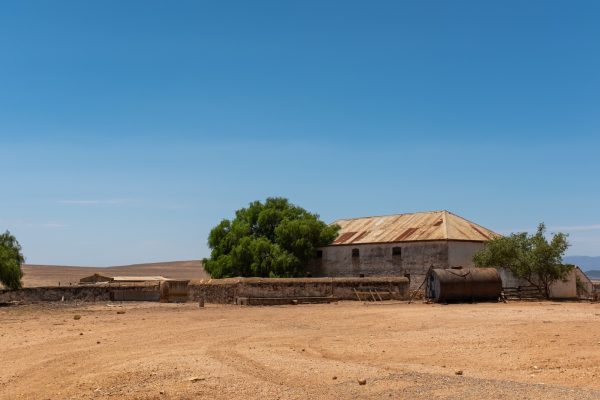 Image 49