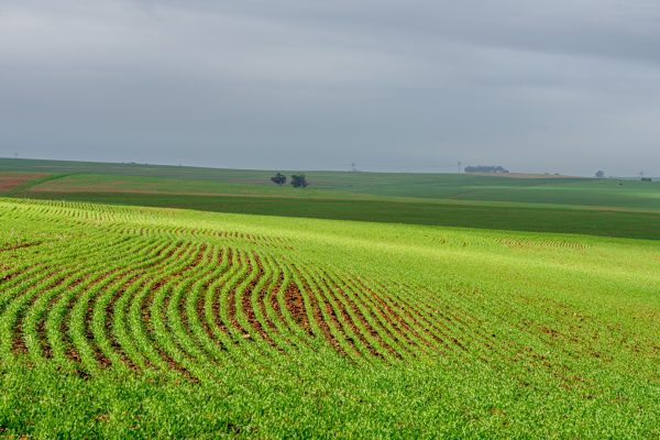 Image 67