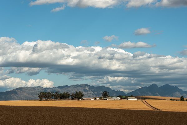 Image 68