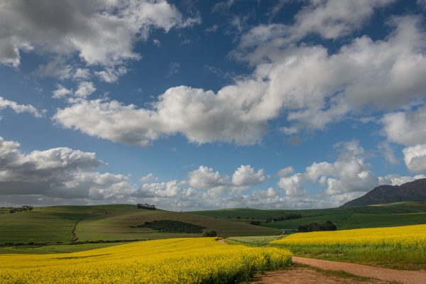 Image 75