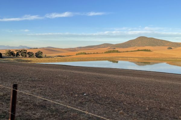 swartland-film-collective-farming-004