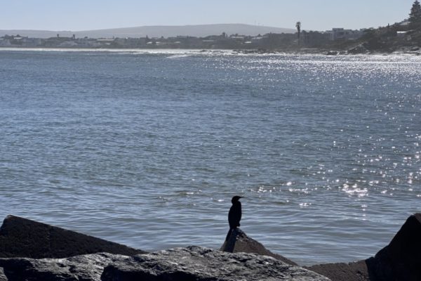 swartland-film-collective-landscapes-beaches-004