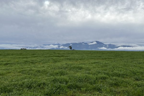 swartland-film-collective-landscapes-beaches-006