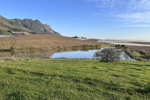 swartland-film-collective-landscapes-beaches-009